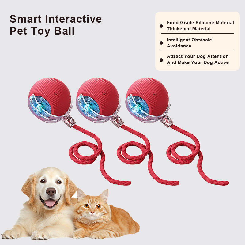 🔥Promoción de último día 49% de descuento🔥Pelota de juguete para mascotas Thonesr® Smart Chase🐱🐕-🎁Compañero de juego inteligente para tu mascota