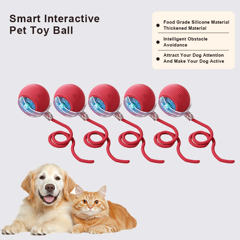 🔥Promoción de último día 49% de descuento🔥Pelota de juguete para mascotas Thonesr® Smart Chase🐱🐕-🎁Compañero de juego inteligente para tu mascota