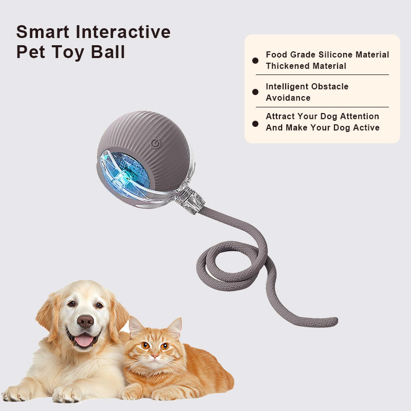 🔥Promoción de último día 49% de descuento🔥Pelota de juguete para mascotas Thonesr® Smart Chase🐱🐕-🎁Compañero de juego inteligente para tu mascota