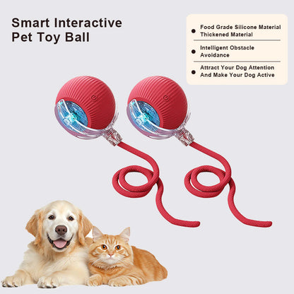 🔥Promoción de último día 49% de descuento🔥Pelota de juguete para mascotas Thonesr® Smart Chase🐱🐕-🎁Compañero de juego inteligente para tu mascota