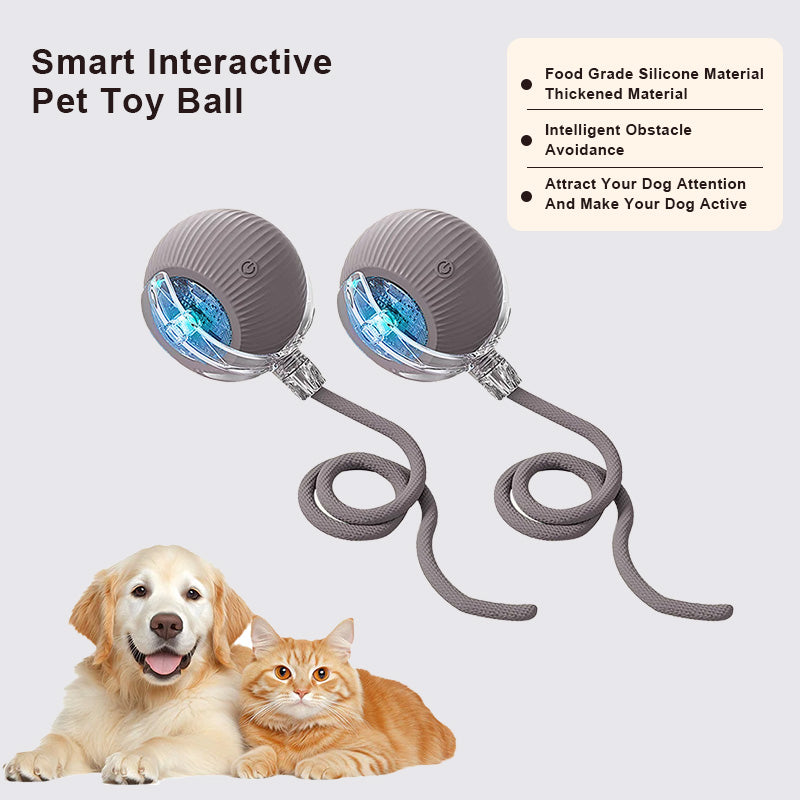 🔥Promoción de último día 49% de descuento🔥Pelota de juguete para mascotas Thonesr® Smart Chase🐱🐕-🎁Compañero de juego inteligente para tu mascota