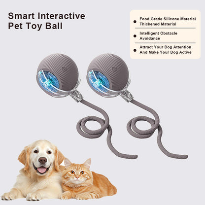 🔥Promoción de último día 49% de descuento🔥Pelota de juguete para mascotas Thonesr® Smart Chase🐱🐕-🎁Compañero de juego inteligente para tu mascota