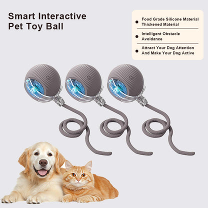 🔥Promoción de último día 49% de descuento🔥Pelota de juguete para mascotas Thonesr® Smart Chase🐱🐕-🎁Compañero de juego inteligente para tu mascota