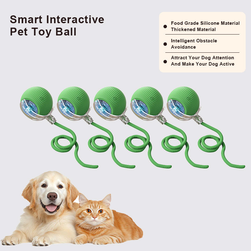 🔥Promoción de último día 49% de descuento🔥Pelota de juguete para mascotas Thonesr® Smart Chase🐱🐕-🎁Compañero de juego inteligente para tu mascota