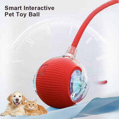 🔥Promoción de último día 49% de descuento🔥Pelota de juguete para mascotas Thonesr® Smart Chase🐱🐕-🎁Compañero de juego inteligente para tu mascota