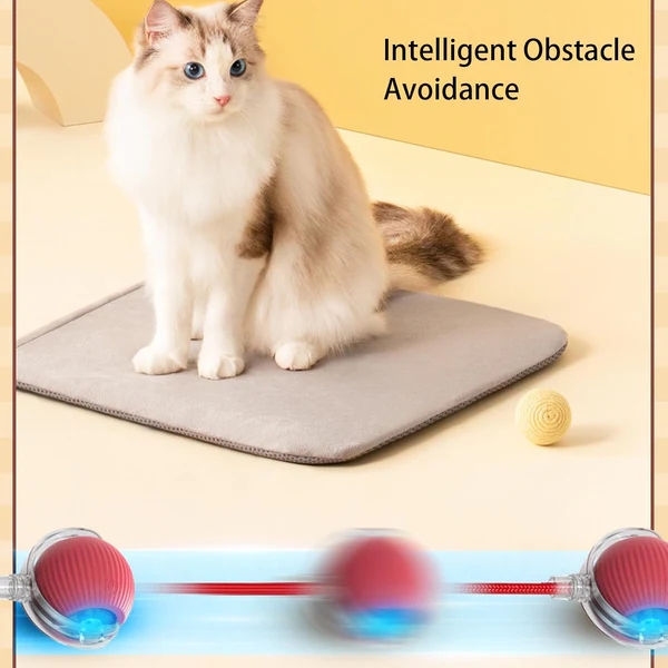 🔥Promoción de último día 49% de descuento🔥Pelota de juguete para mascotas Thonesr® Smart Chase🐱🐕-🎁Compañero de juego inteligente para tu mascota